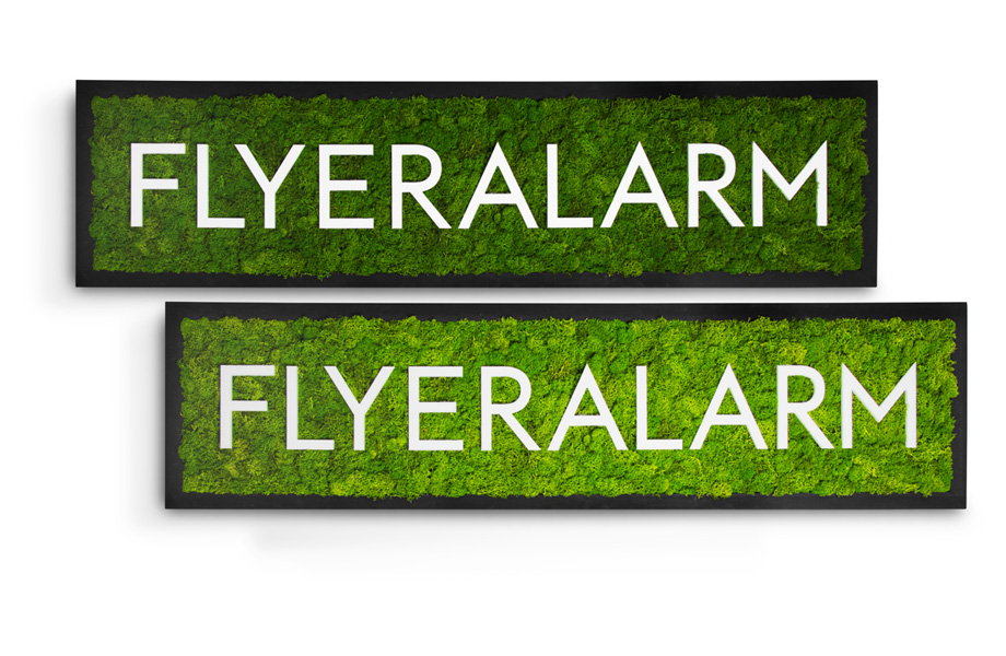 Moosbilder mit Acrylbuchstaben